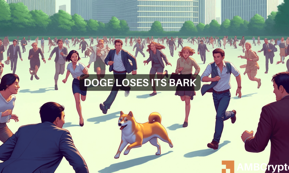 The Loss of $16 Million by Long Traders in Dogecoin: What Does It Mean for You?